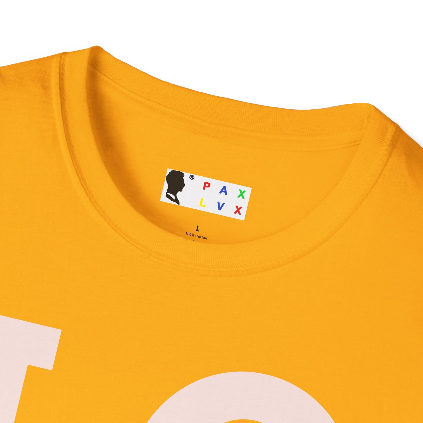 Stylish Love Graphic Unisex Softstyle T-Shirt BY PAX LUX